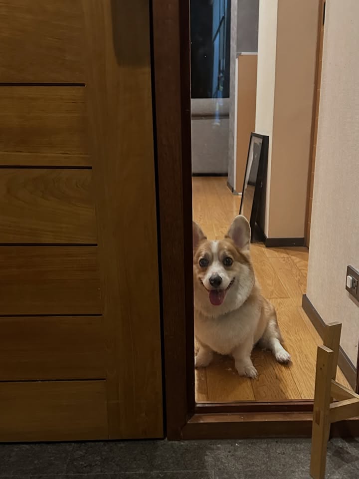 แอริน ยุกตะทัต