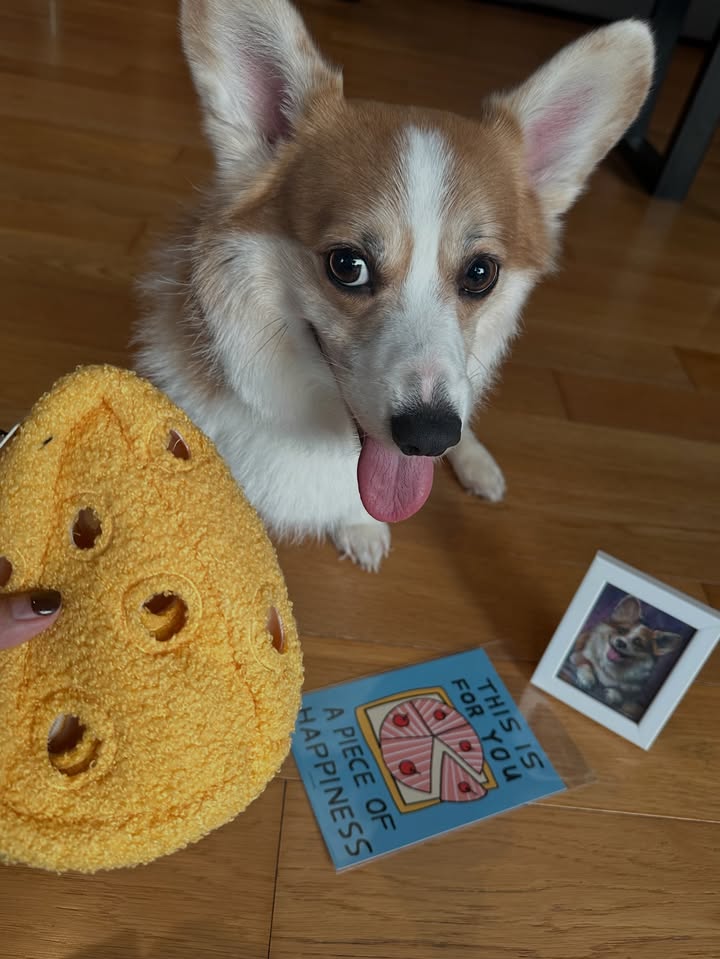 แอริน ยุกตะทัต