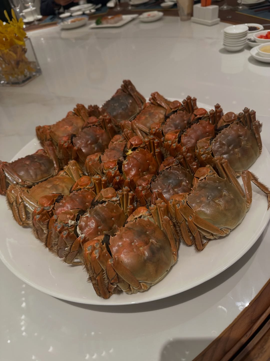 แอริน ยุกตะทัต