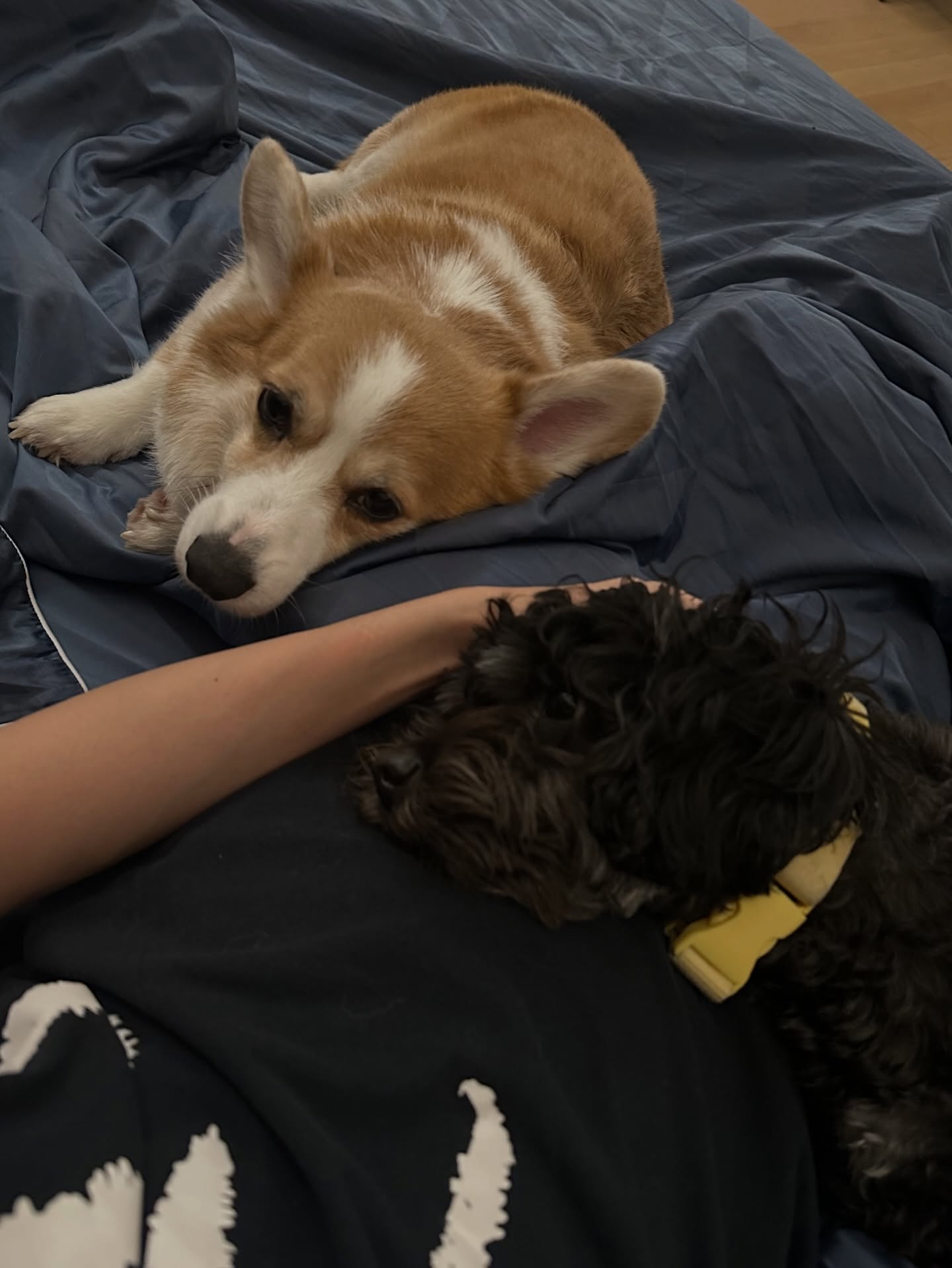 แอริน ยุกตะทัต