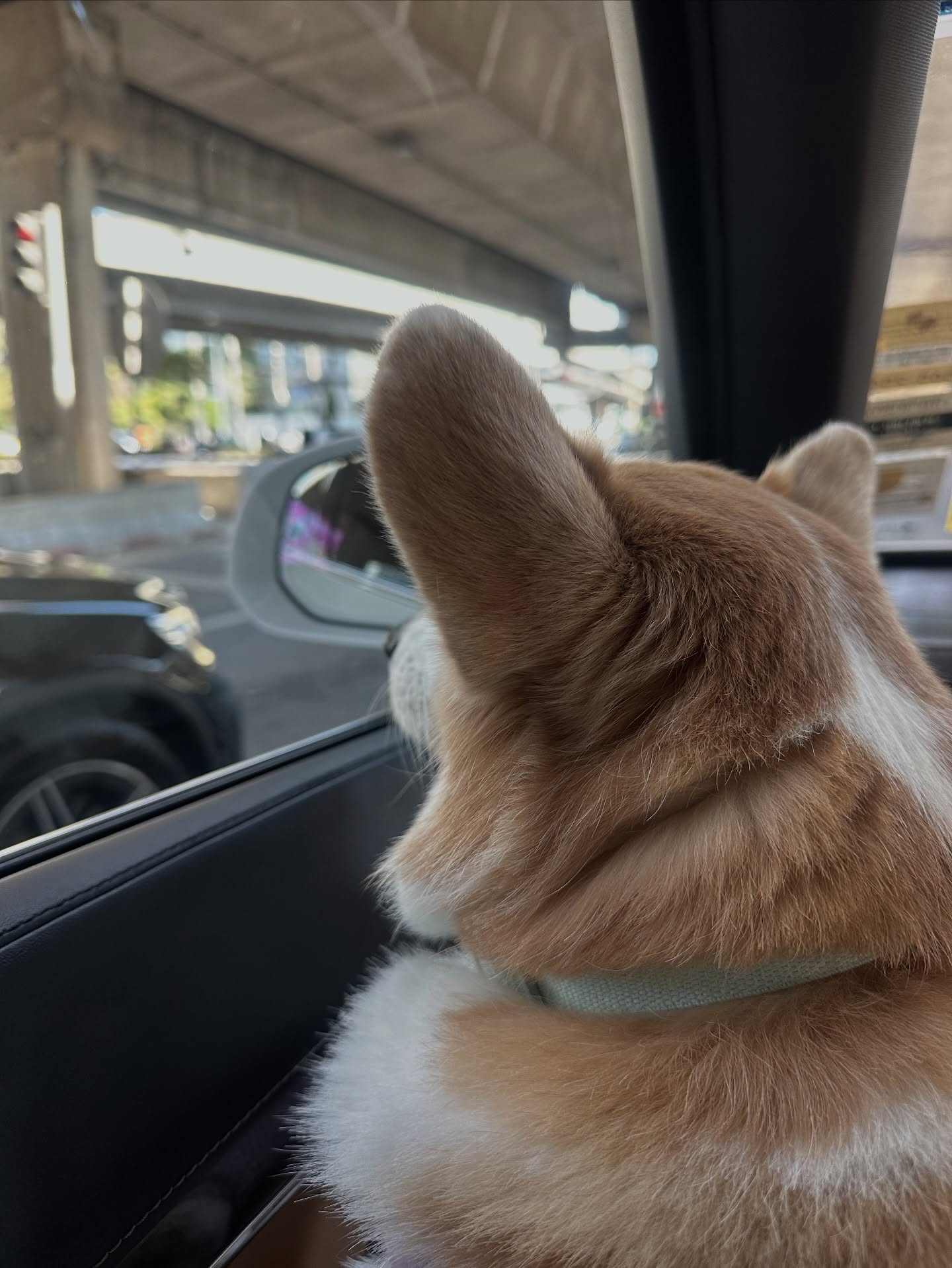 แอริน ยุกตะทัต