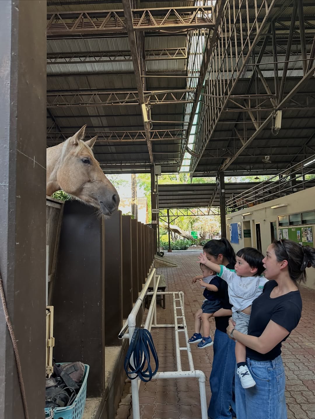 แอริน ยุกตะทัต