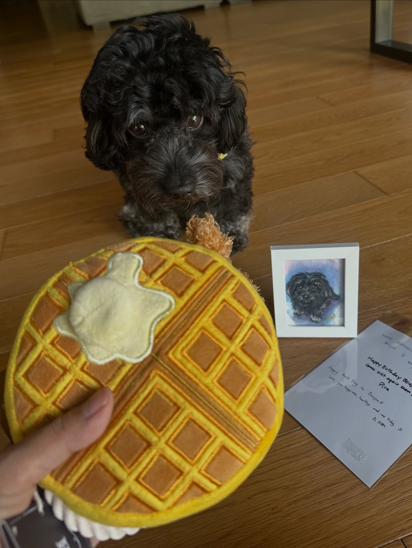 แอริน ยุกตะทัต