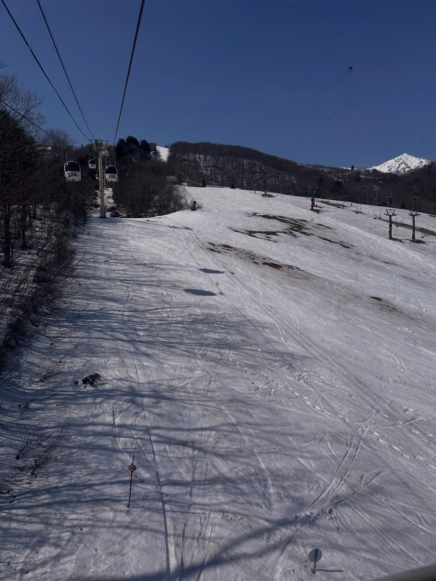 แอริน ยุกตะทัต