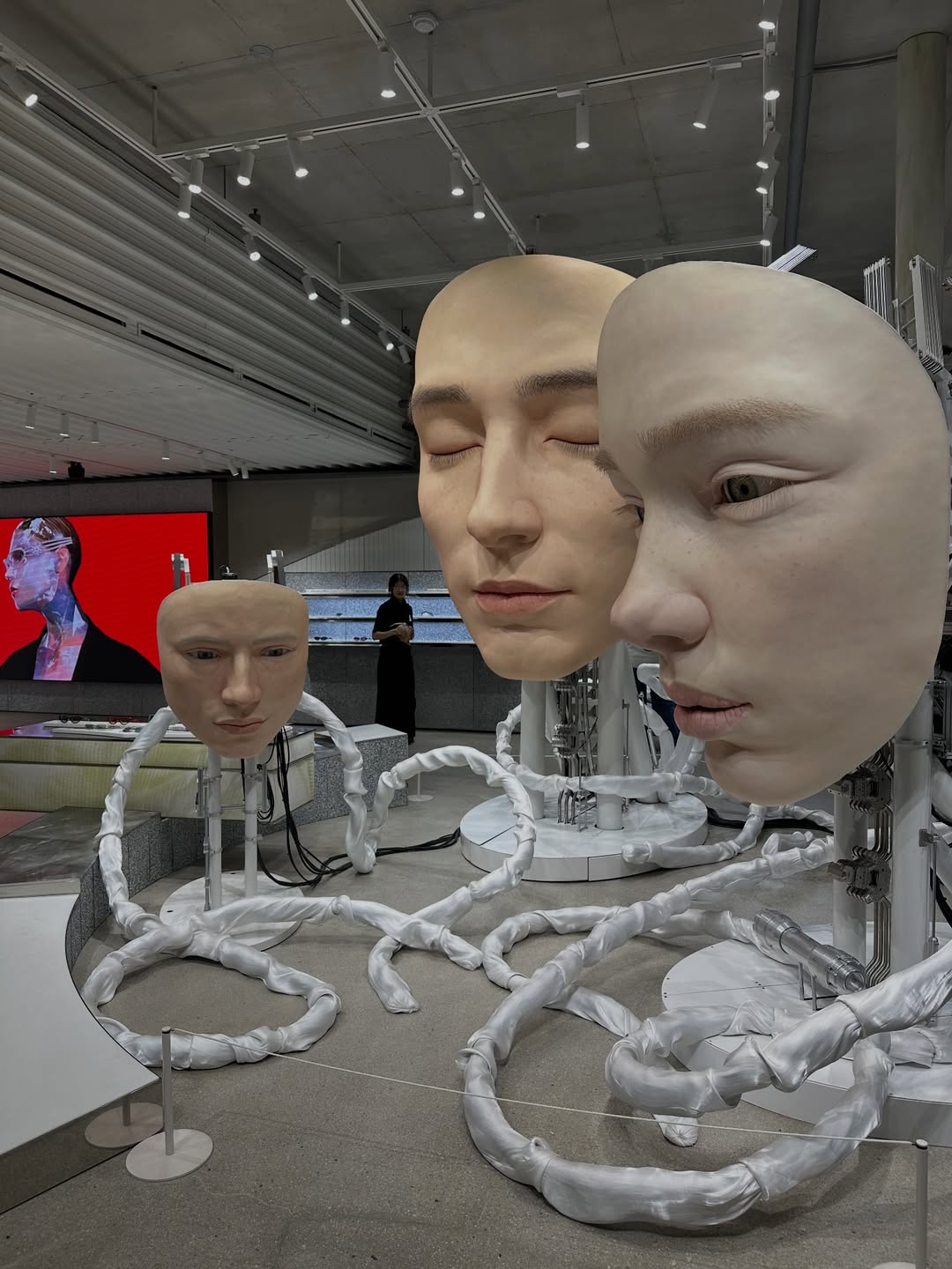 แอริน ยุกตะทัต