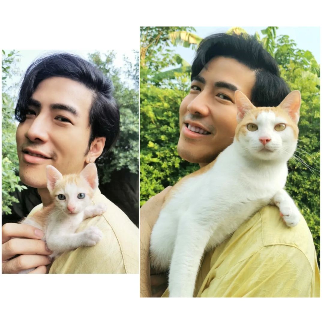 โย่ง - อนุสรณ์ มณีเทศ
