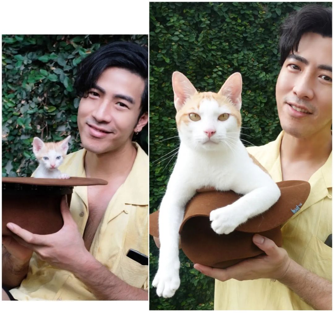 โย่ง - อนุสรณ์ มณีเทศ