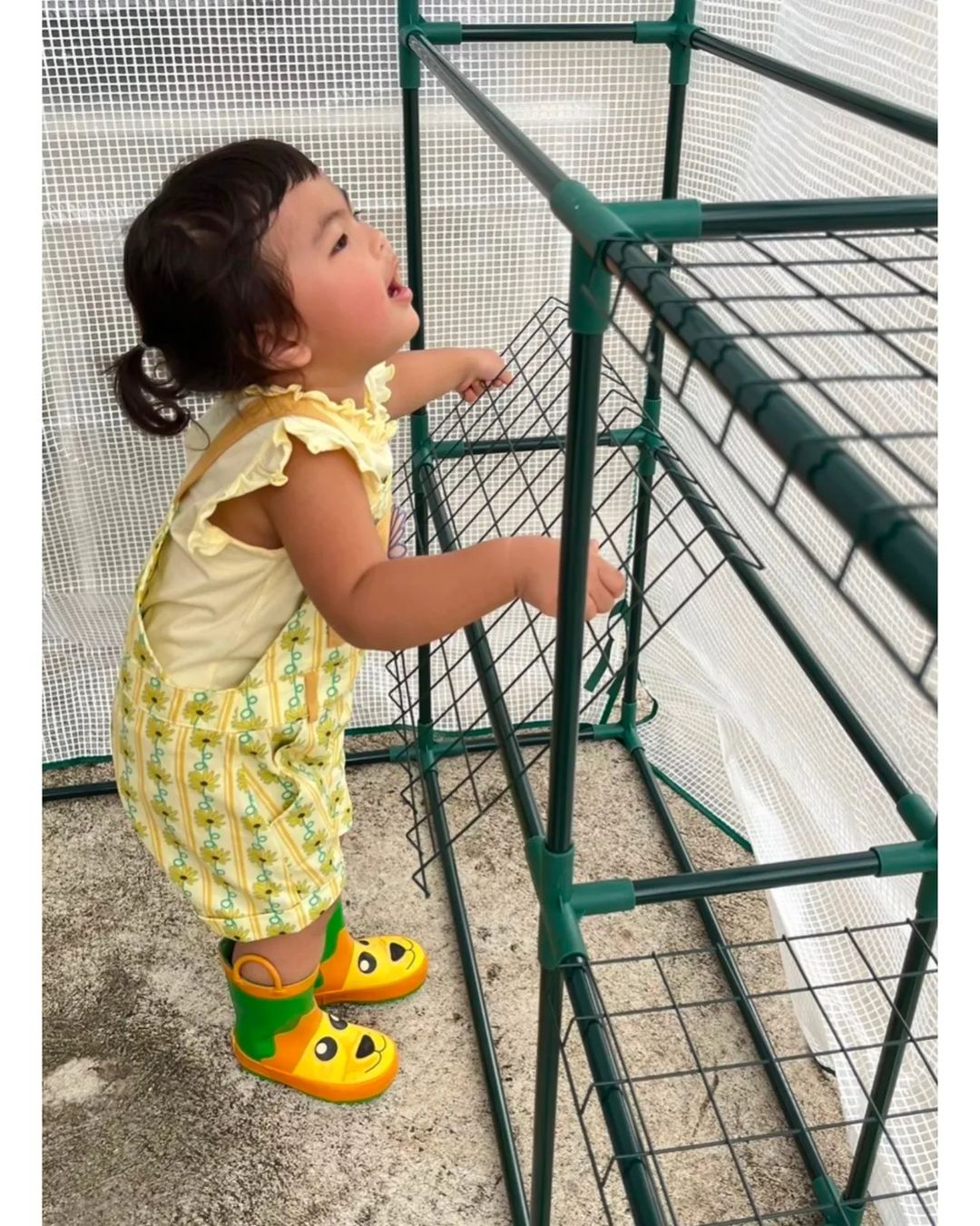 โย่ง - อนุสรณ์ มณีเทศ