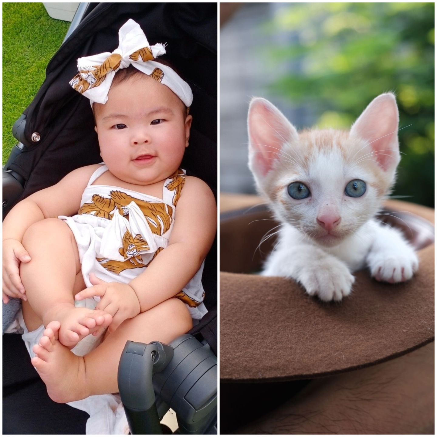 โย่ง - อนุสรณ์ มณีเทศ