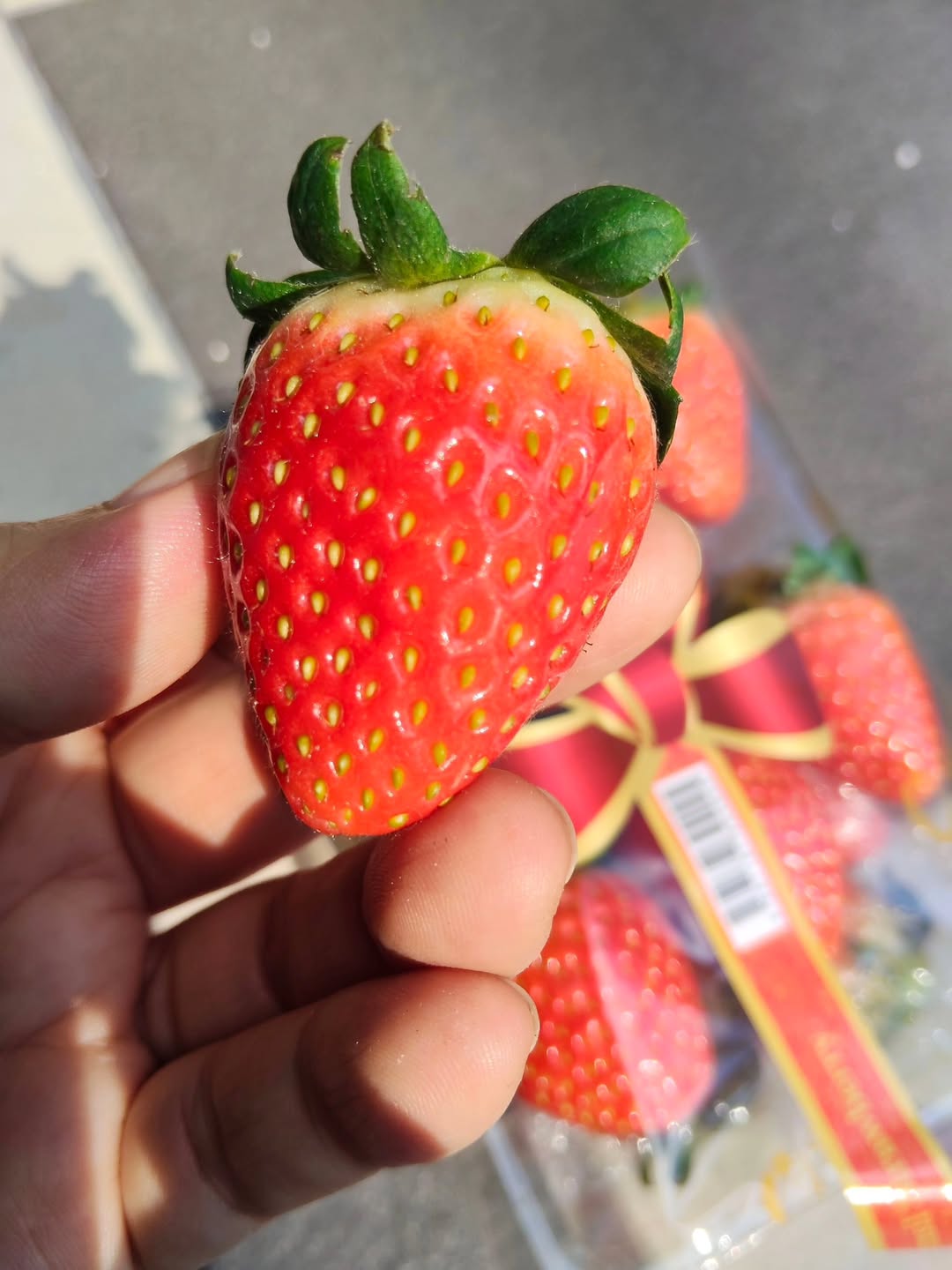 โย่ง - อนุสรณ์ มณีเทศ