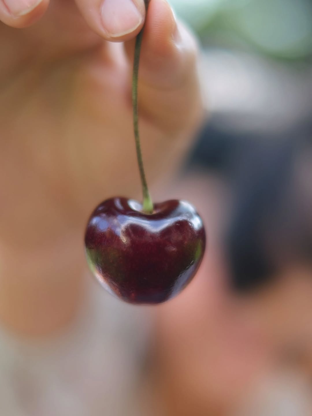 โย่ง - อนุสรณ์ มณีเทศ