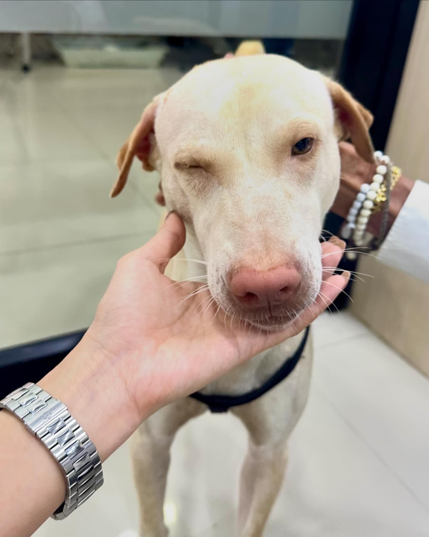 จ๊ะ - นงผณี มหาดไทย