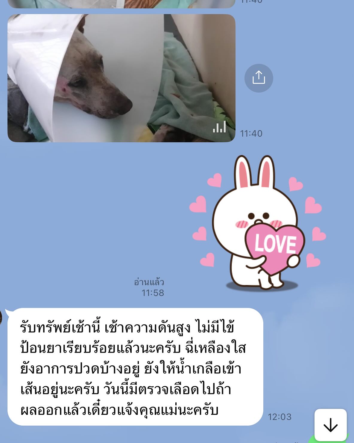 จ๊ะ - นงผณี มหาดไทย