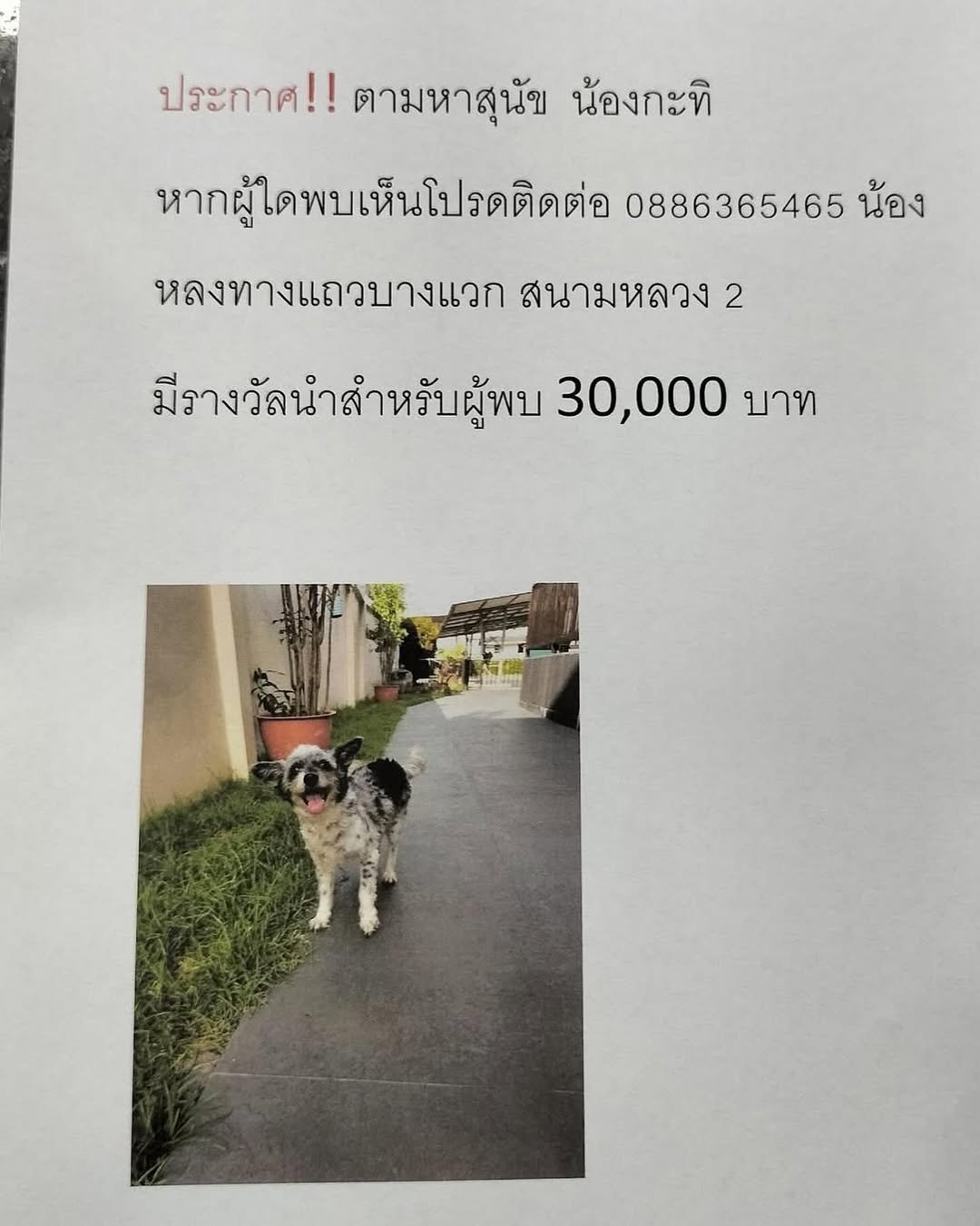 จ๊ะ - นงผณี มหาดไทย