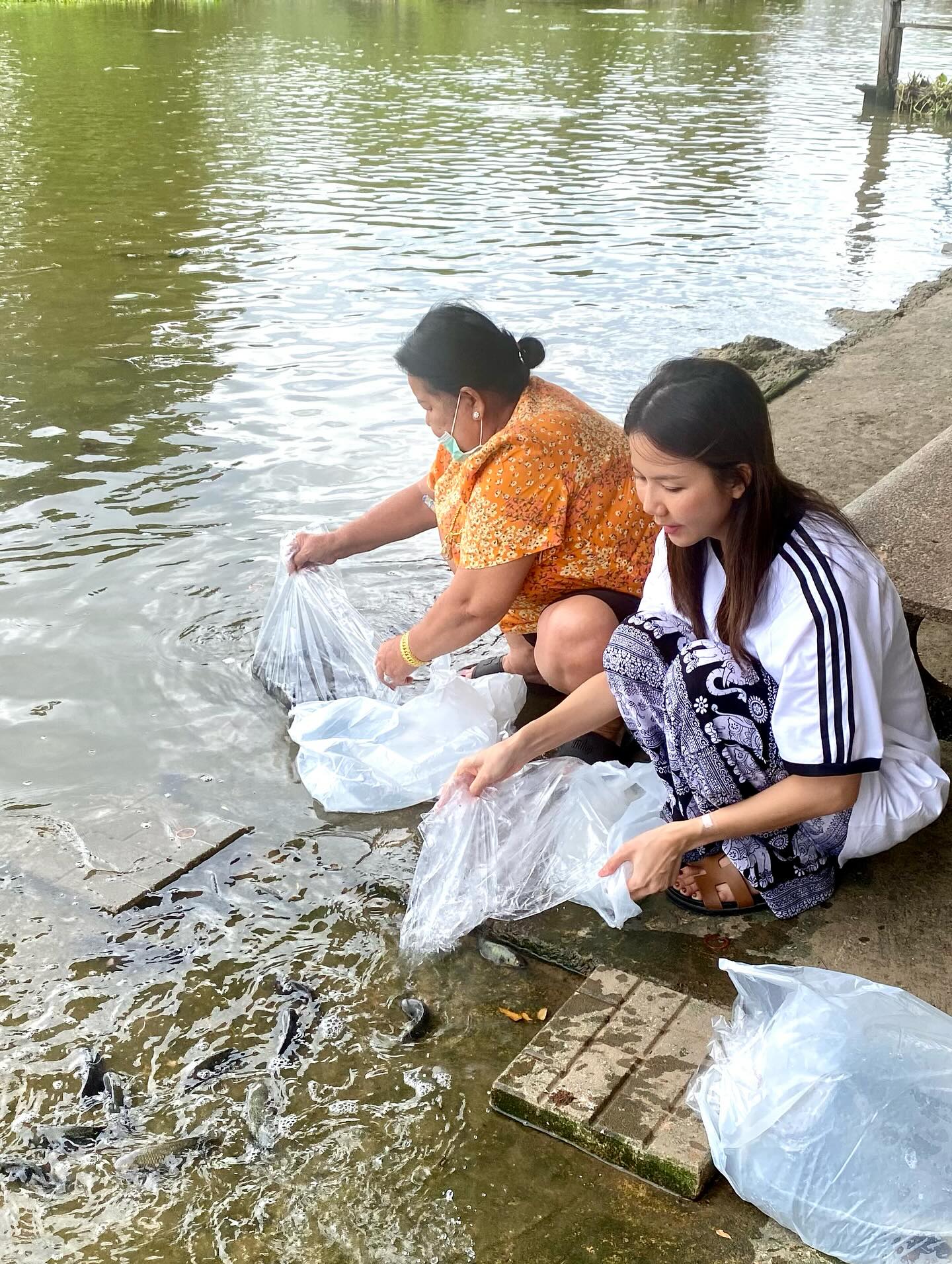 จ๊ะ - นงผณี มหาดไทย