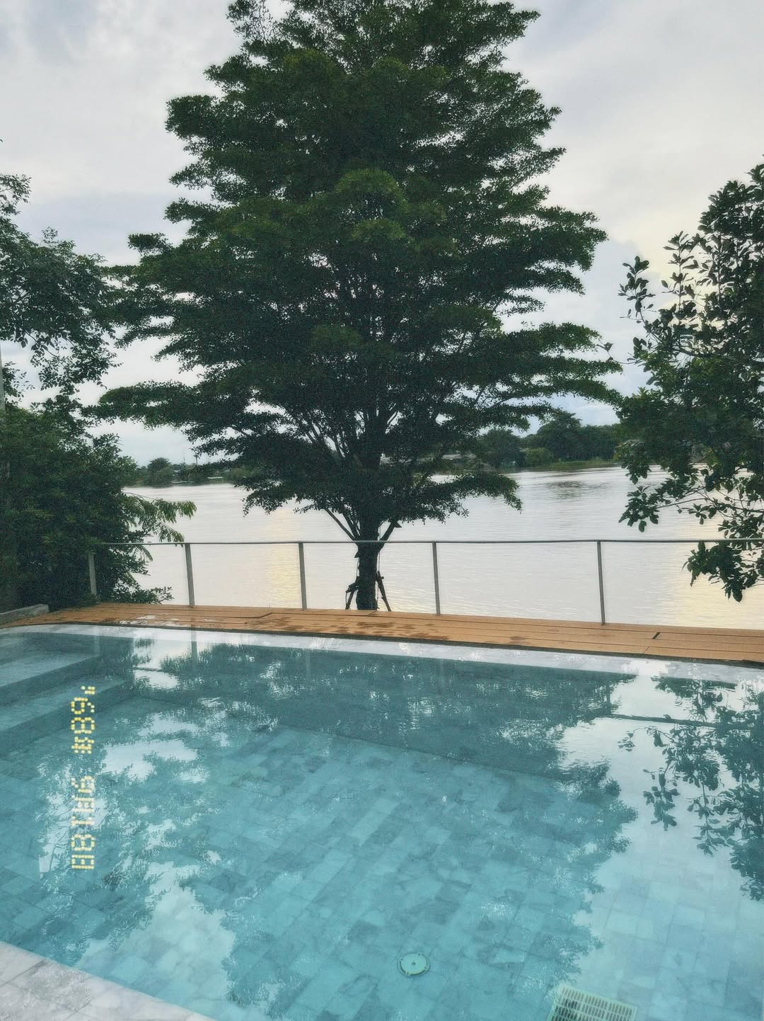 จ๊ะ - นงผณี มหาดไทย