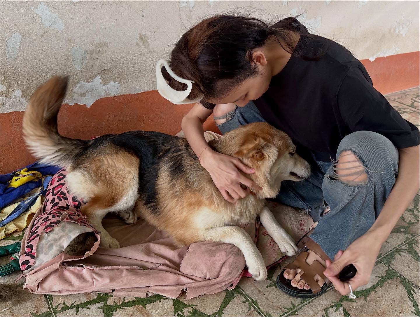 จ๊ะ - นงผณี มหาดไทย