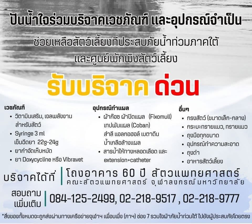 จ๊ะ - นงผณี มหาดไทย