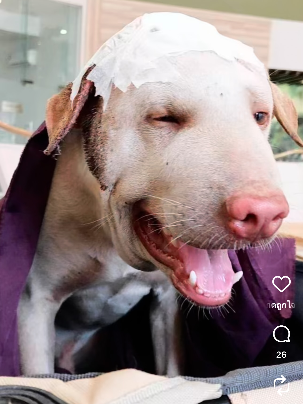 จ๊ะ - นงผณี มหาดไทย