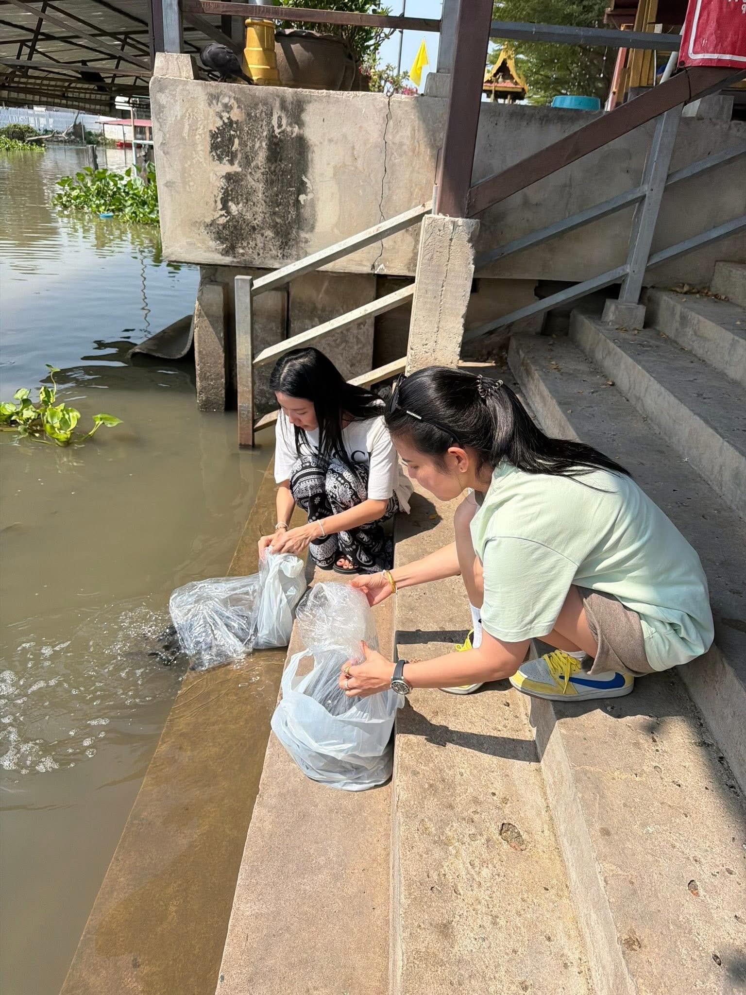 จ๊ะ - นงผณี มหาดไทย