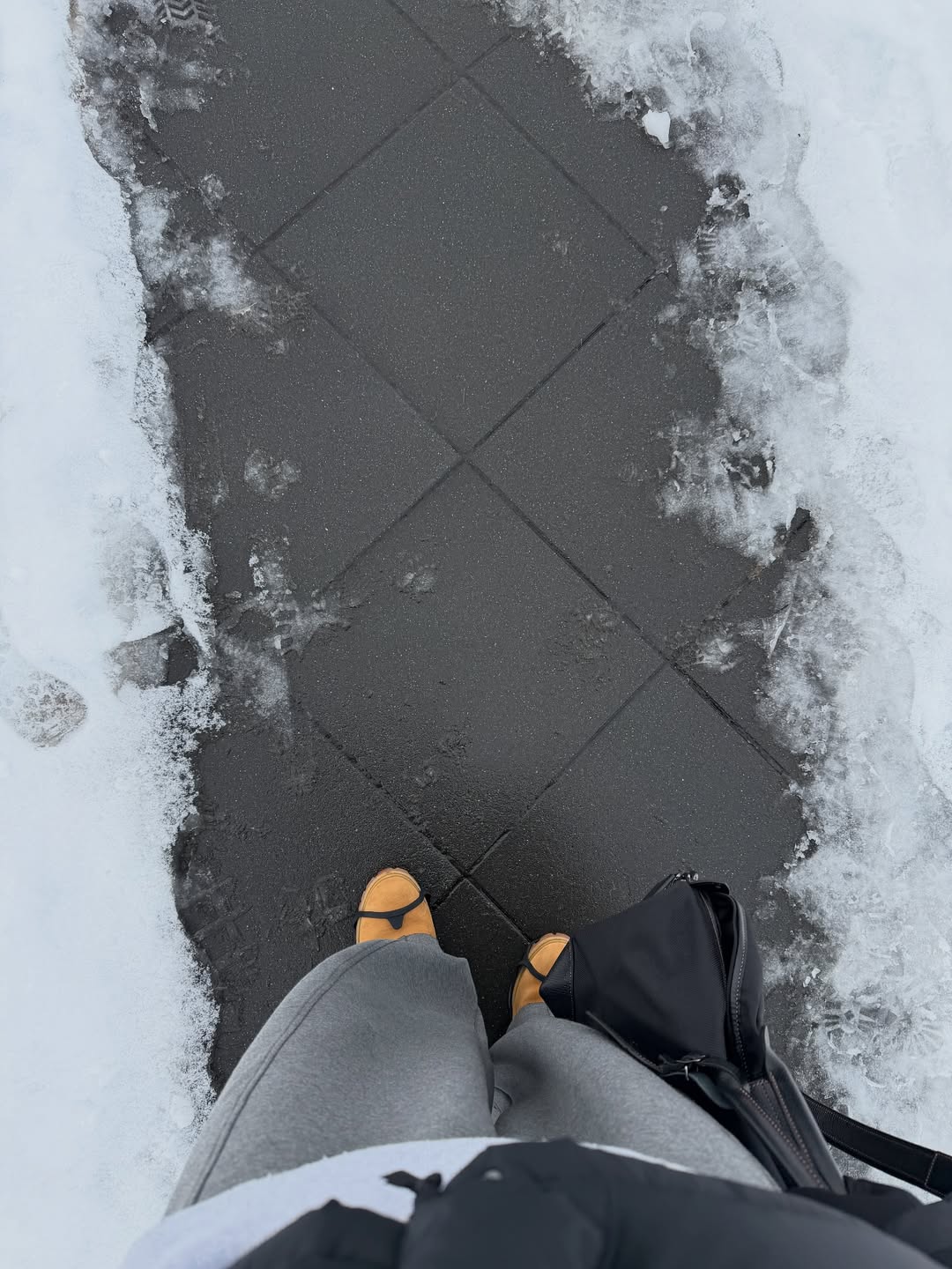 บุ๊ค - กษิดิ์เดช ปลูกผล