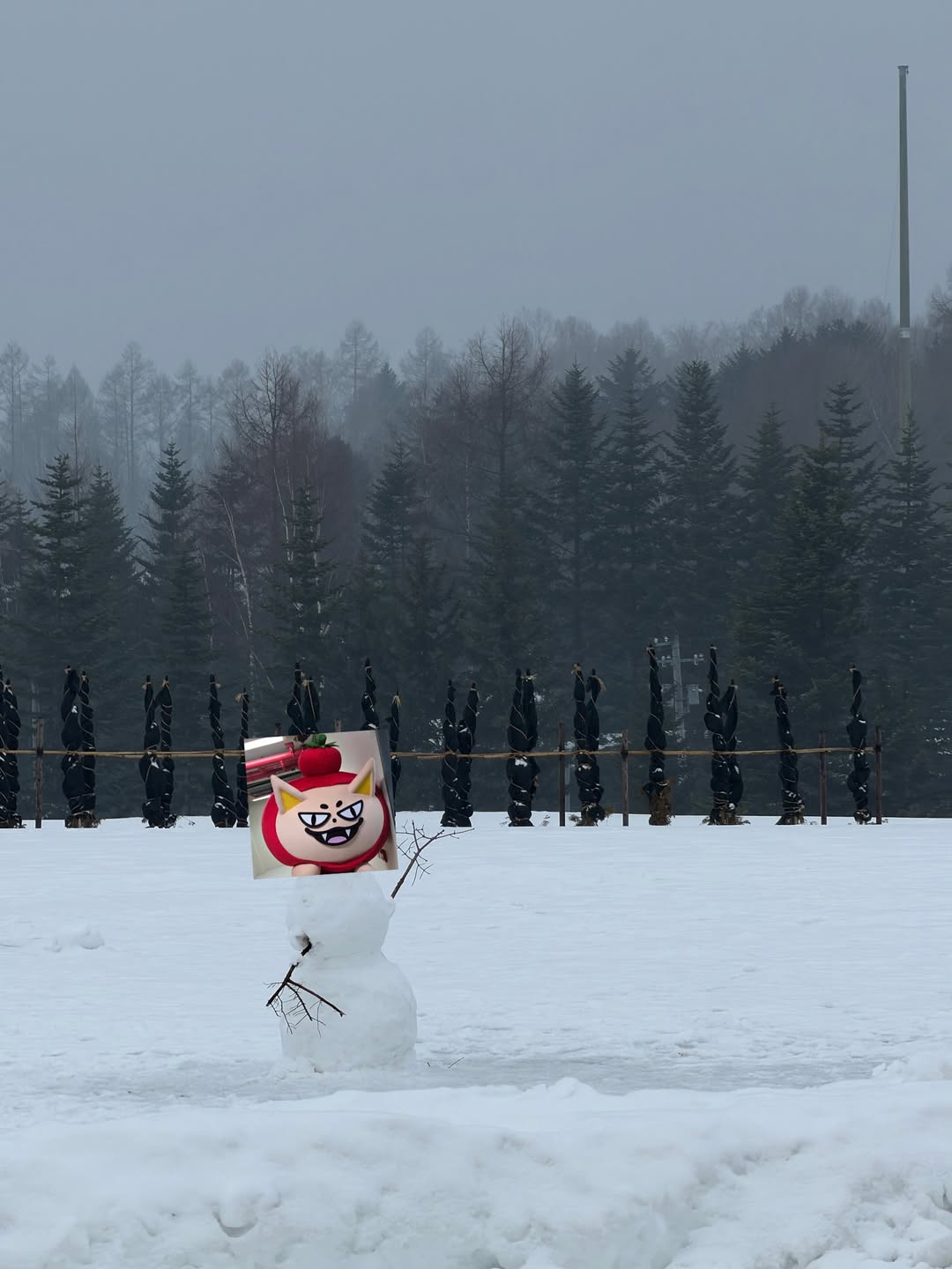 บุ๊ค - กษิดิ์เดช ปลูกผล