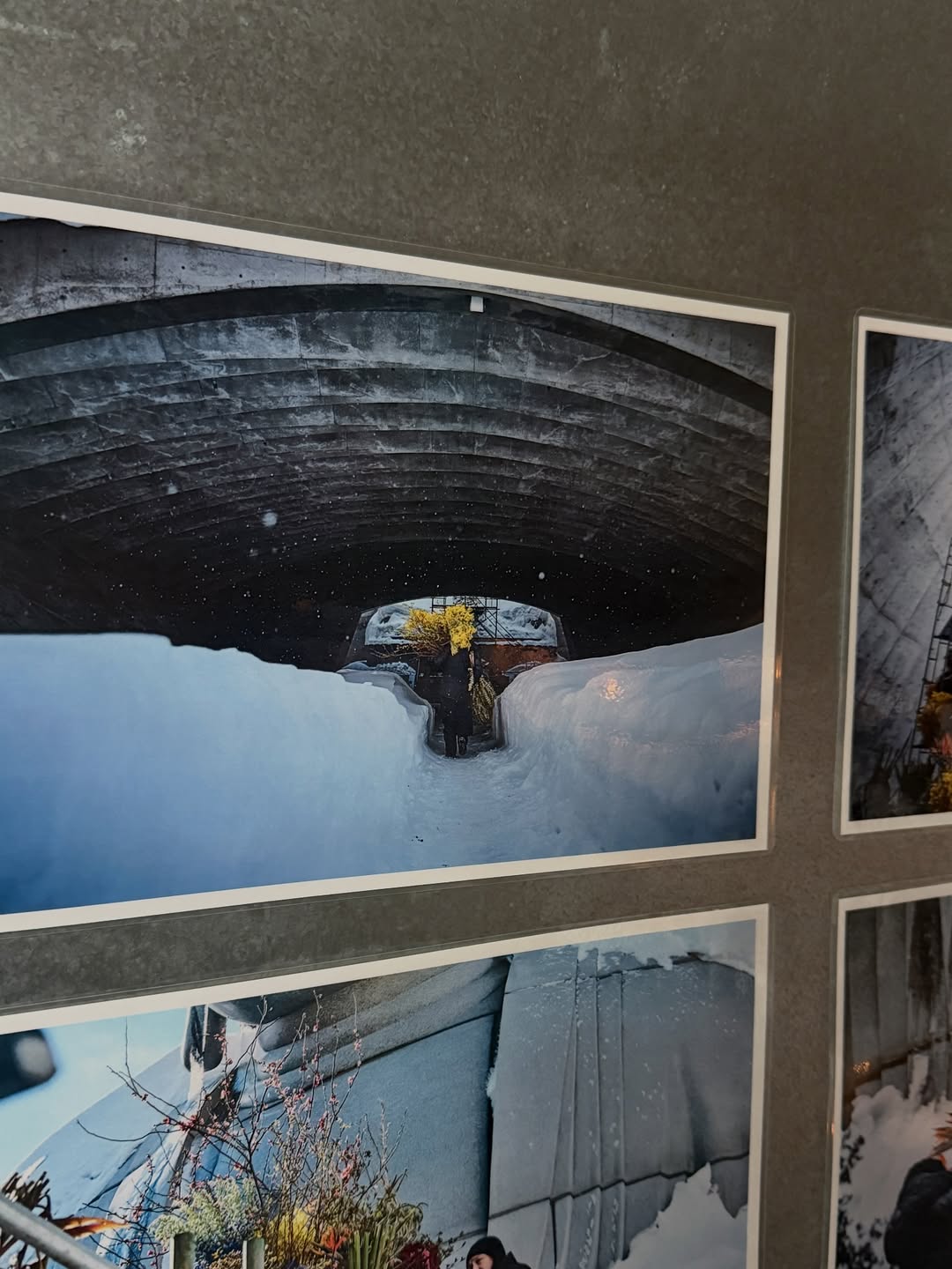 บุ๊ค - กษิดิ์เดช ปลูกผล