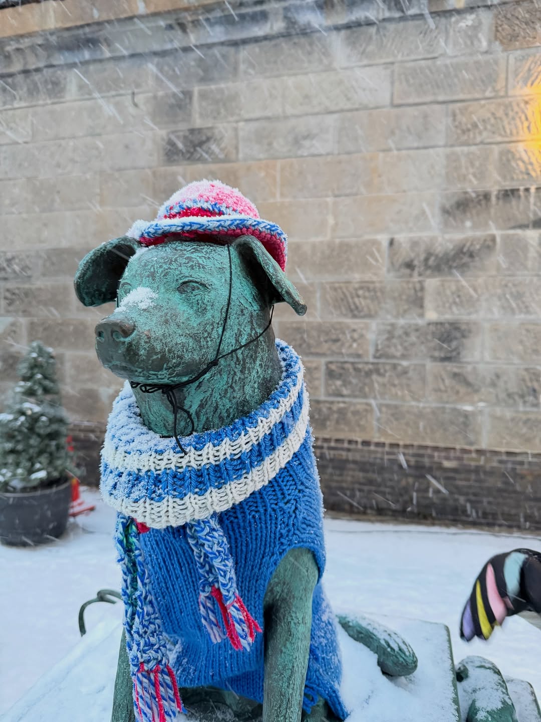 บุ๊ค - กษิดิ์เดช ปลูกผล