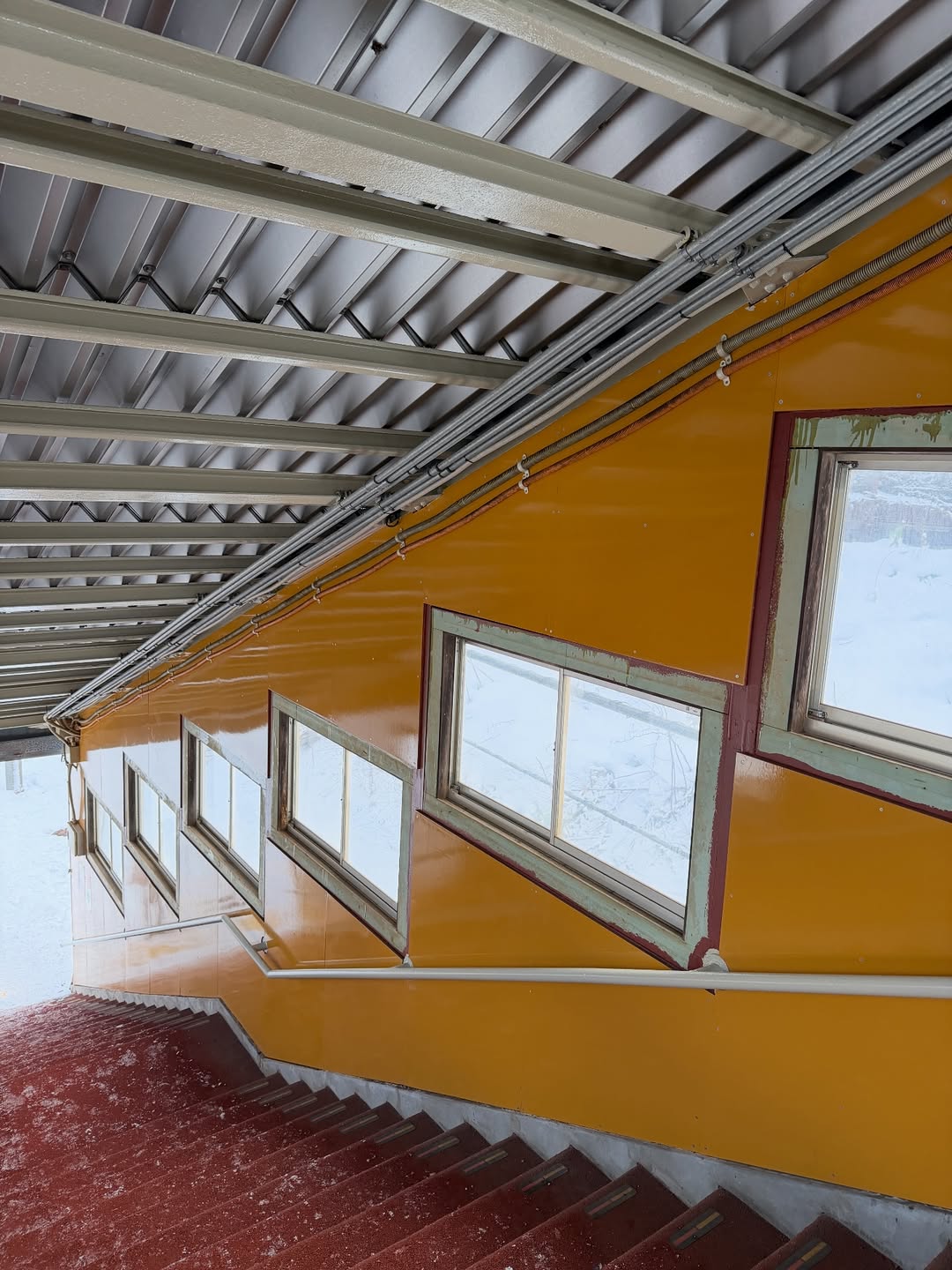 บุ๊ค - กษิดิ์เดช ปลูกผล