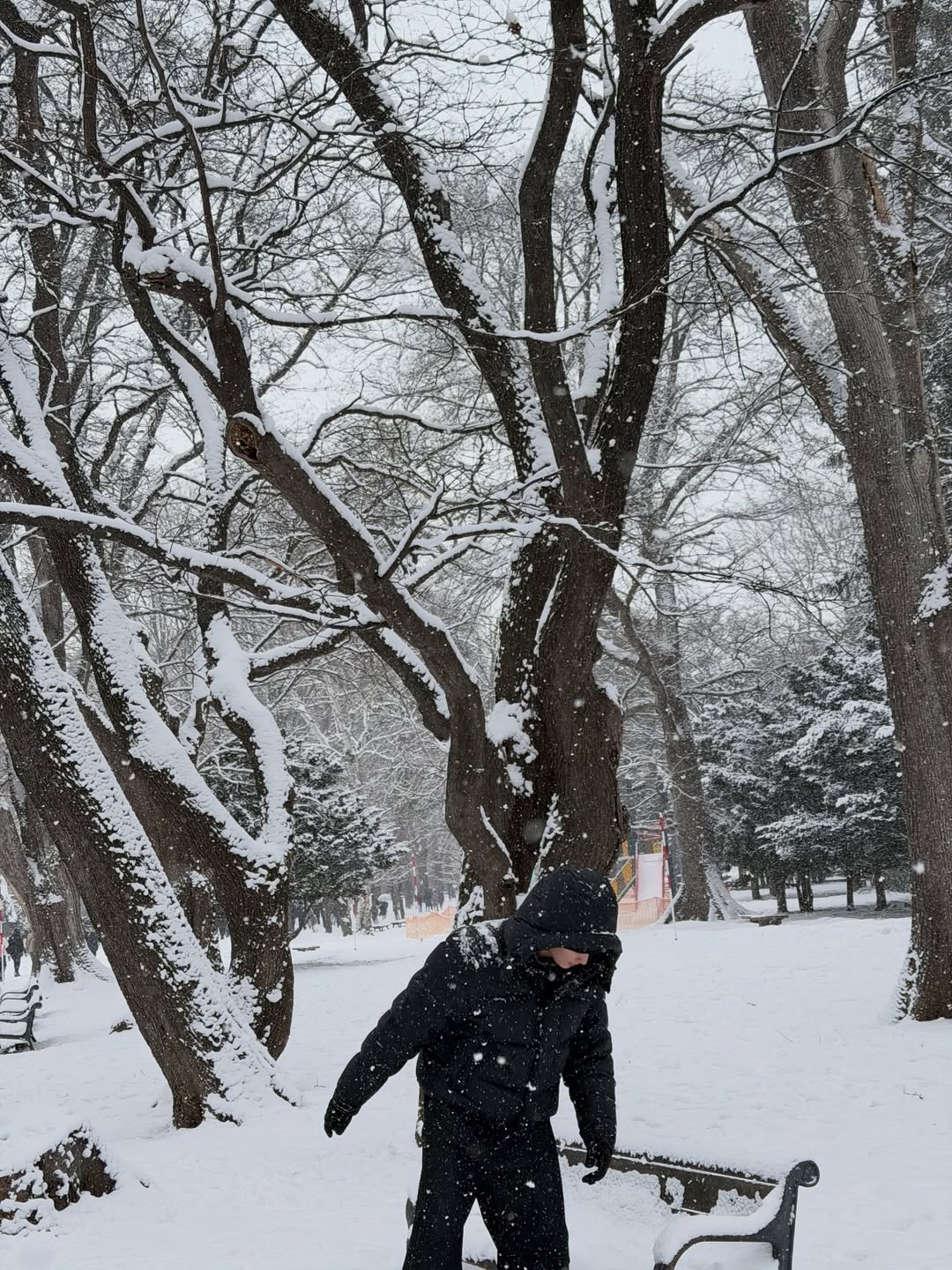 บุ๊ค - กษิดิ์เดช ปลูกผล