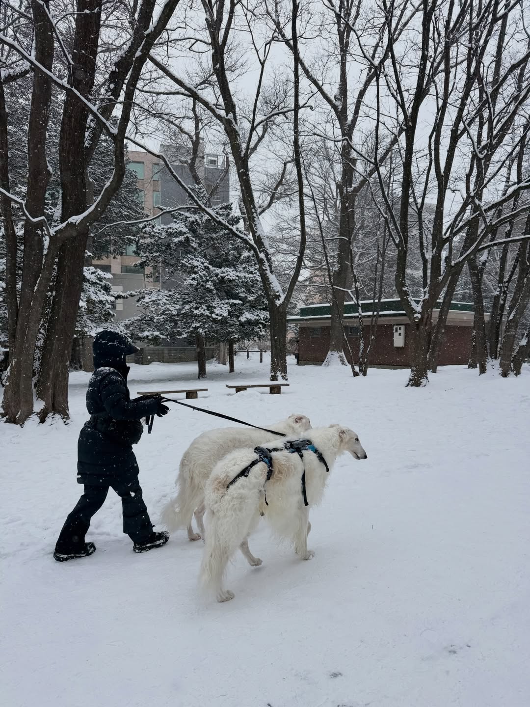 บุ๊ค - กษิดิ์เดช ปลูกผล