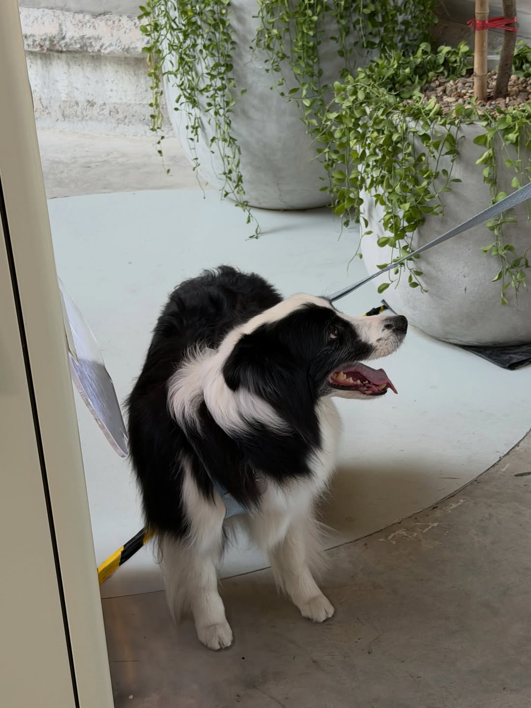 บุ๊ค - กษิดิ์เดช ปลูกผล