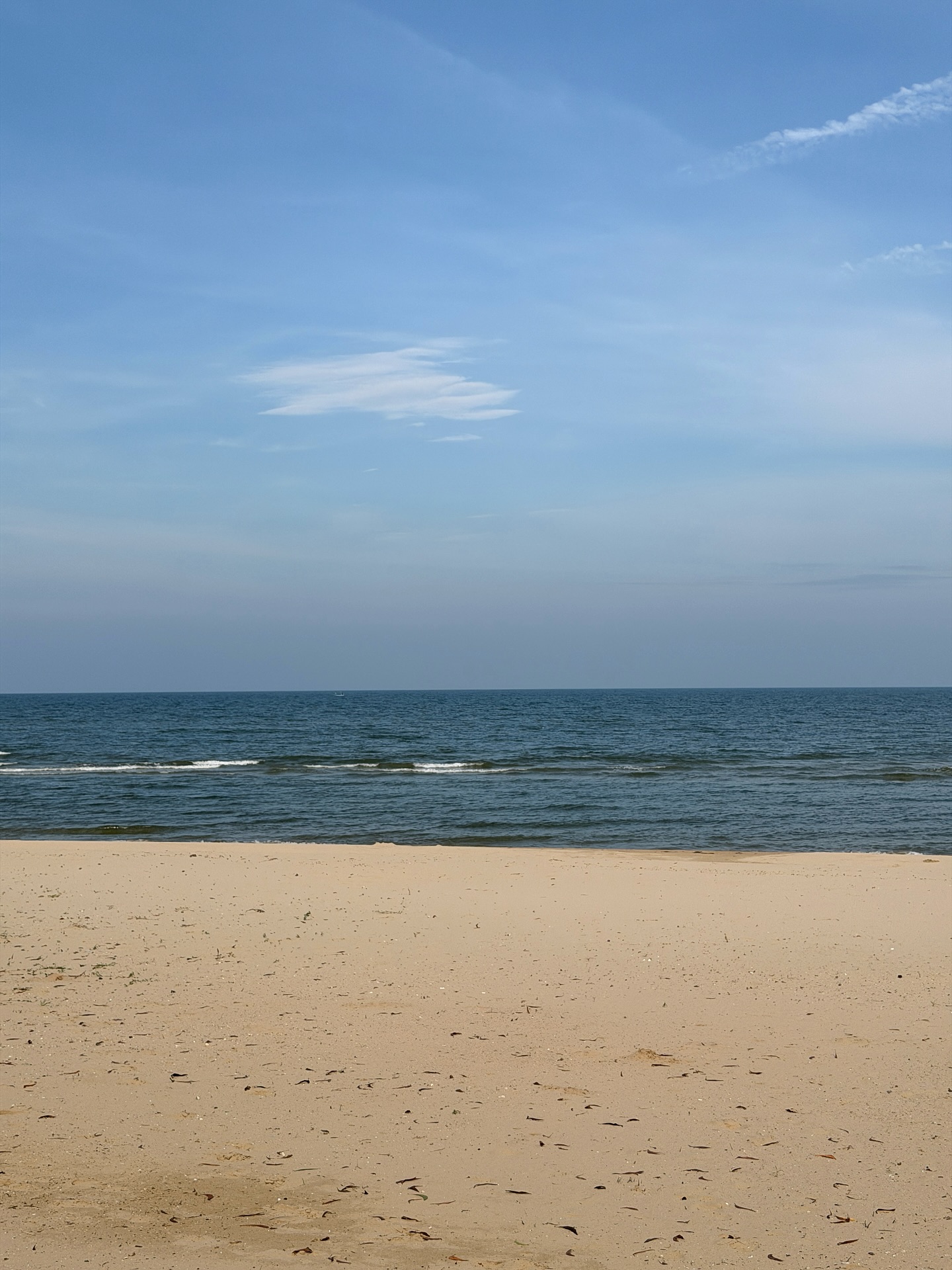 ซอนญ่า - ศรัณย์ภัทร์ พีเดอร์เซน