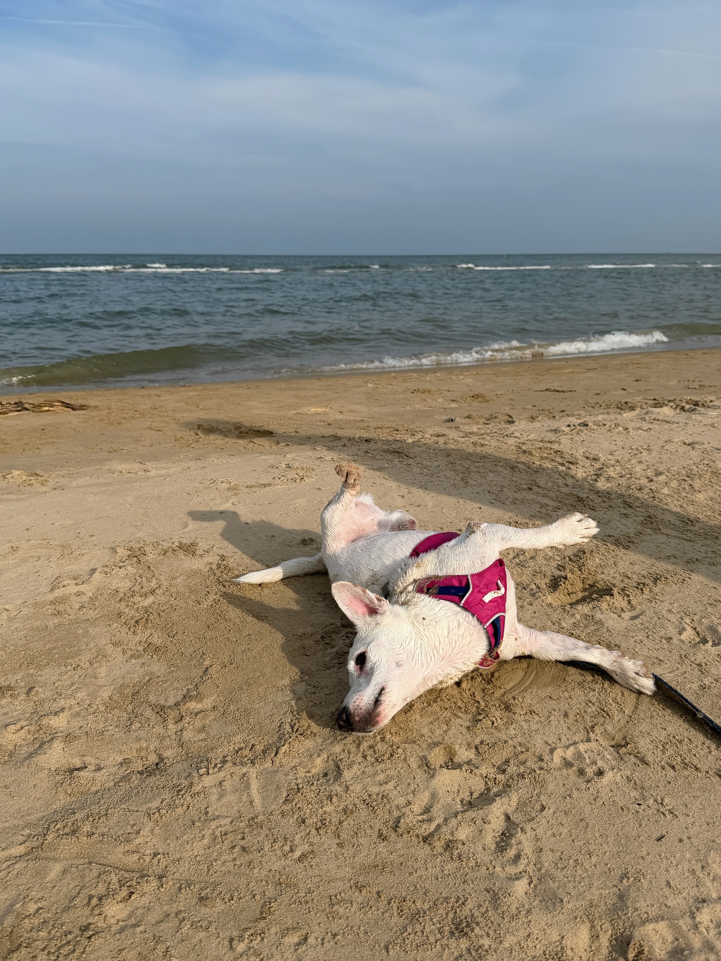 ซอนญ่า - ศรัณย์ภัทร์ พีเดอร์เซน