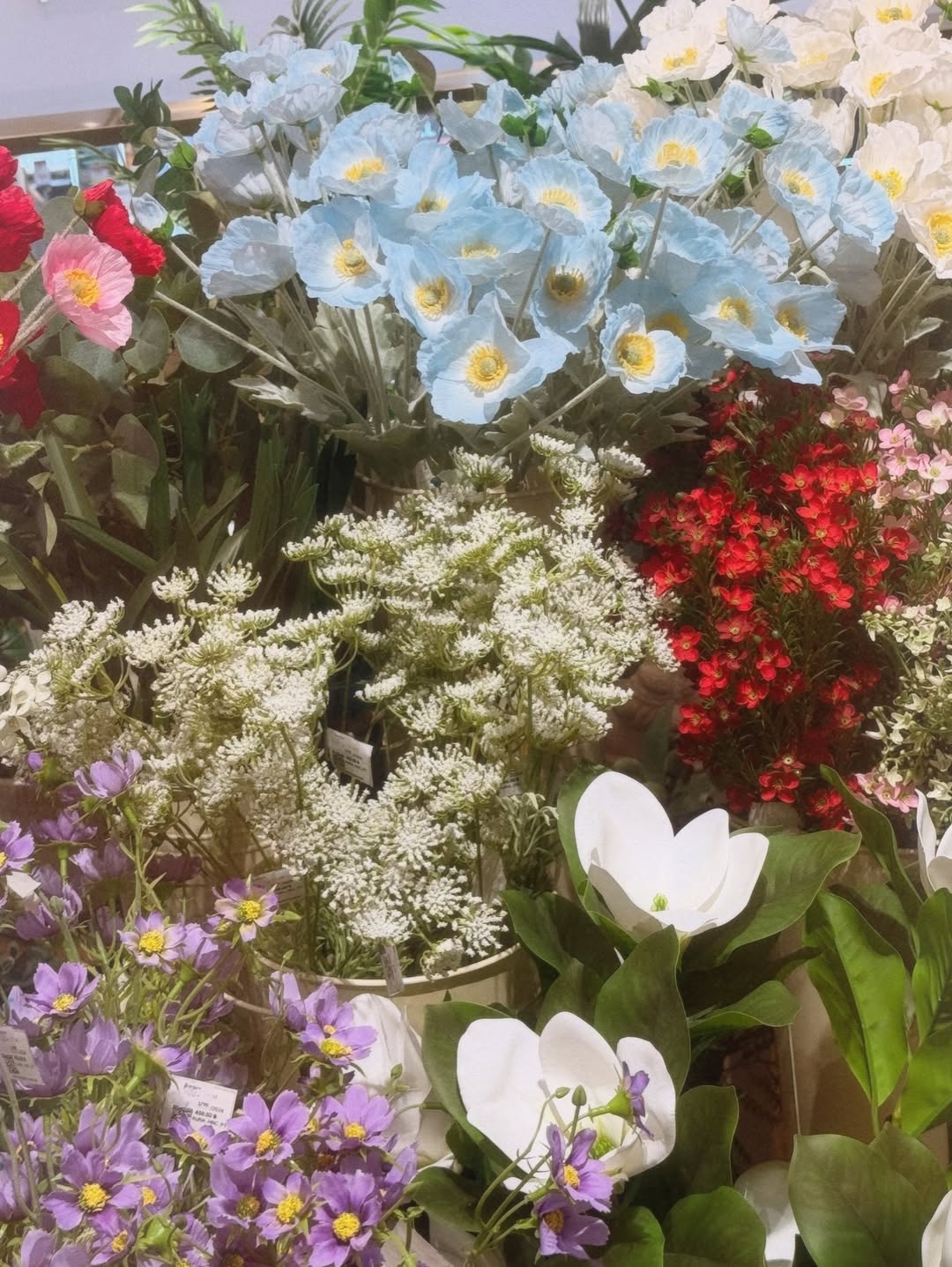 ซอนญ่า - ศรัณย์ภัทร์ พีเดอร์เซน