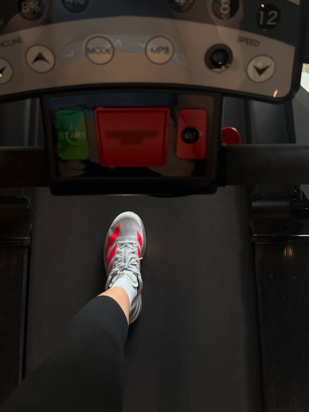 ซอนญ่า - ศรัณย์ภัทร์ พีเดอร์เซน