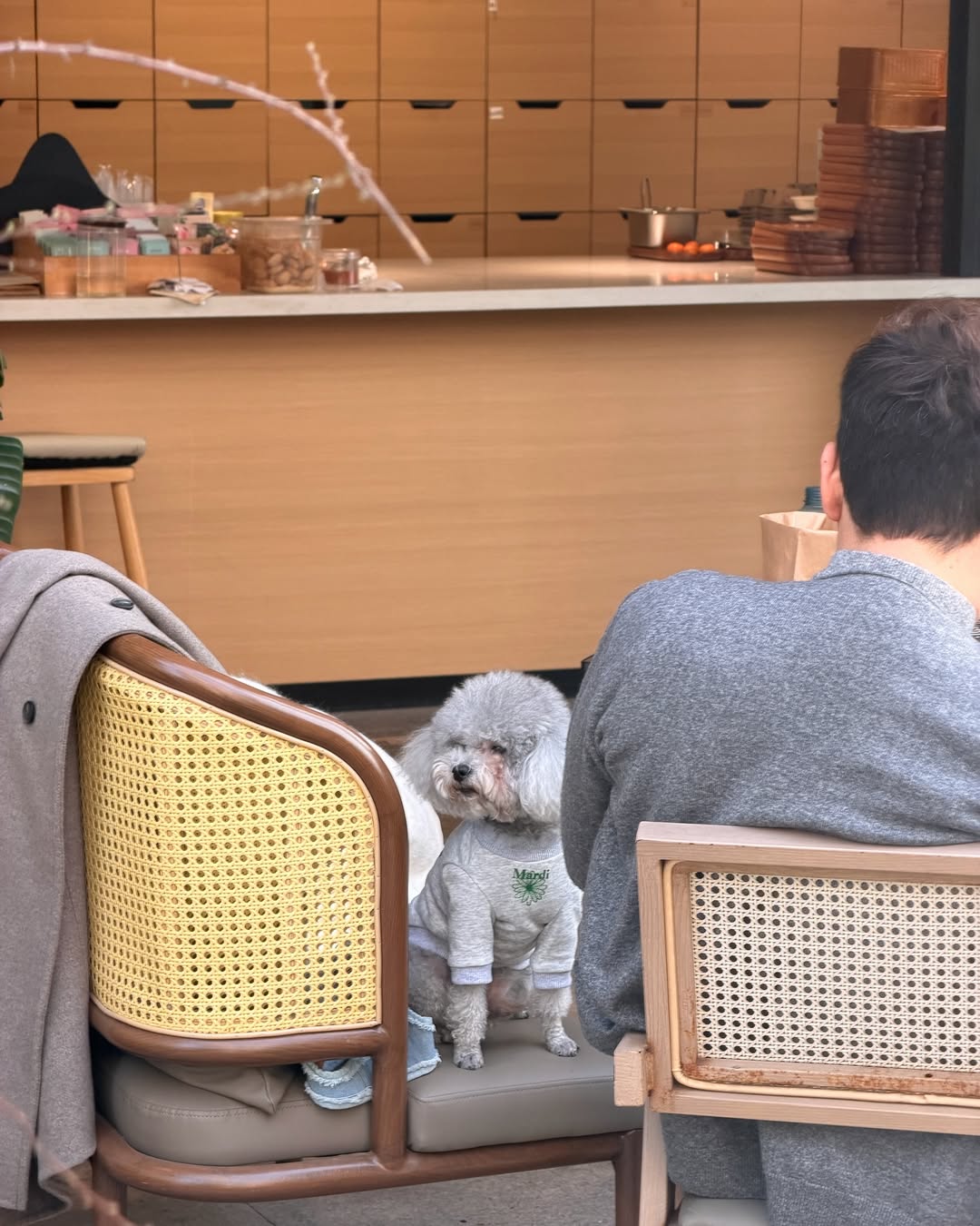 ซอนญ่า - ศรัณย์ภัทร์ พีเดอร์เซน