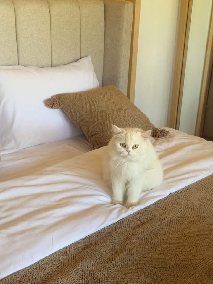 ซอนญ่า - ศรัณย์ภัทร์ พีเดอร์เซน