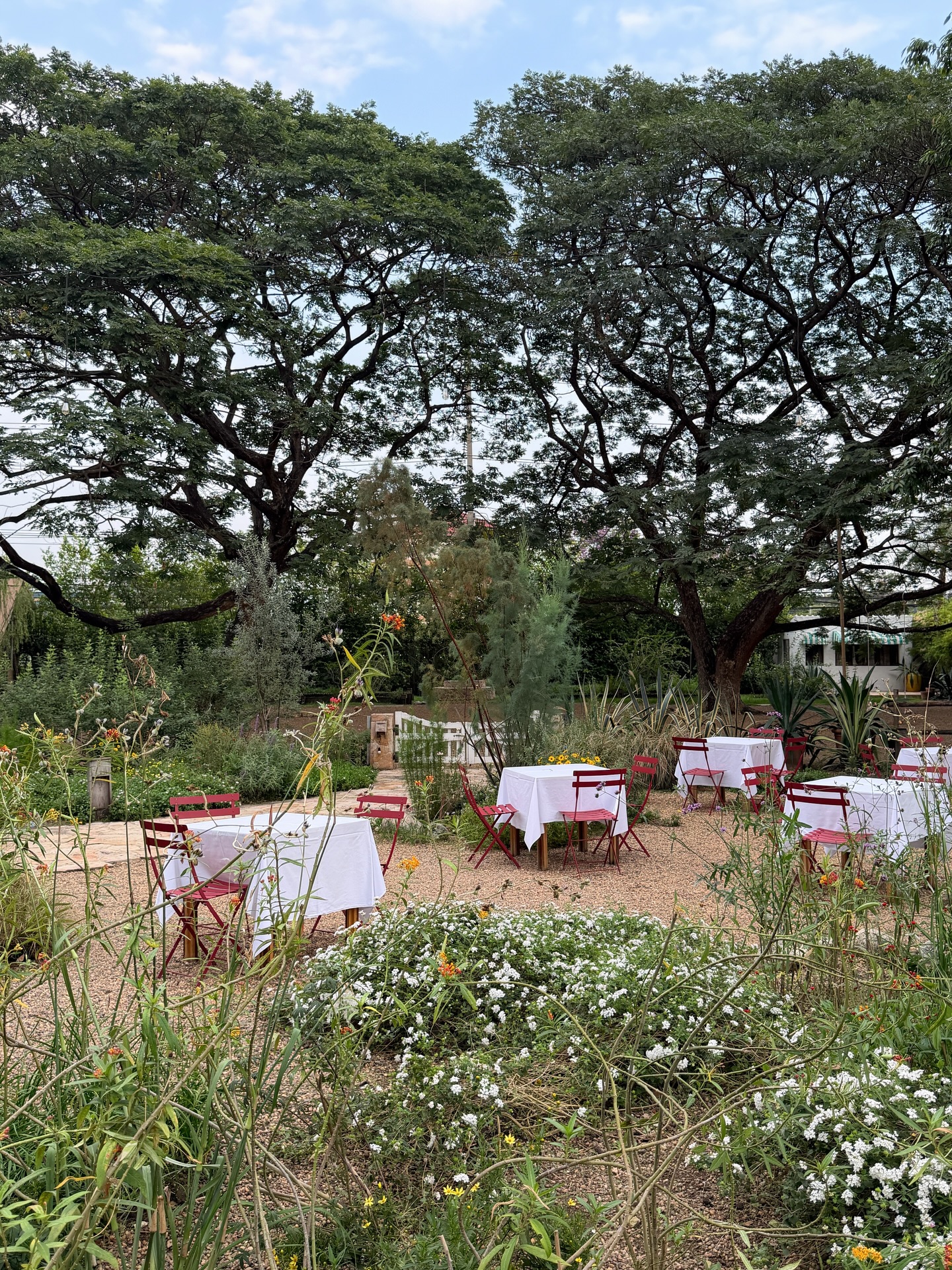 ซอนญ่า - ศรัณย์ภัทร์ พีเดอร์เซน