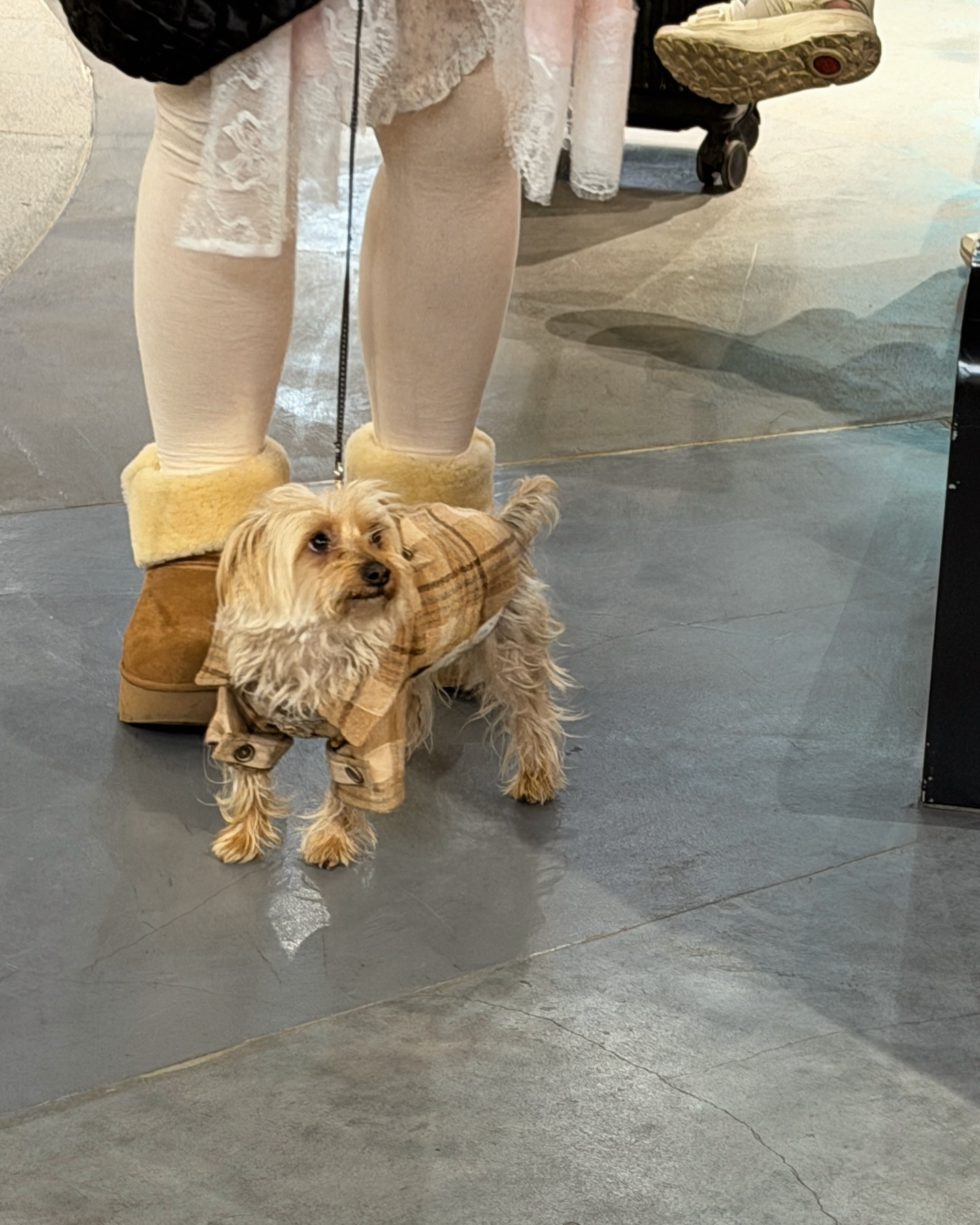 ซอนญ่า - ศรัณย์ภัทร์ พีเดอร์เซน