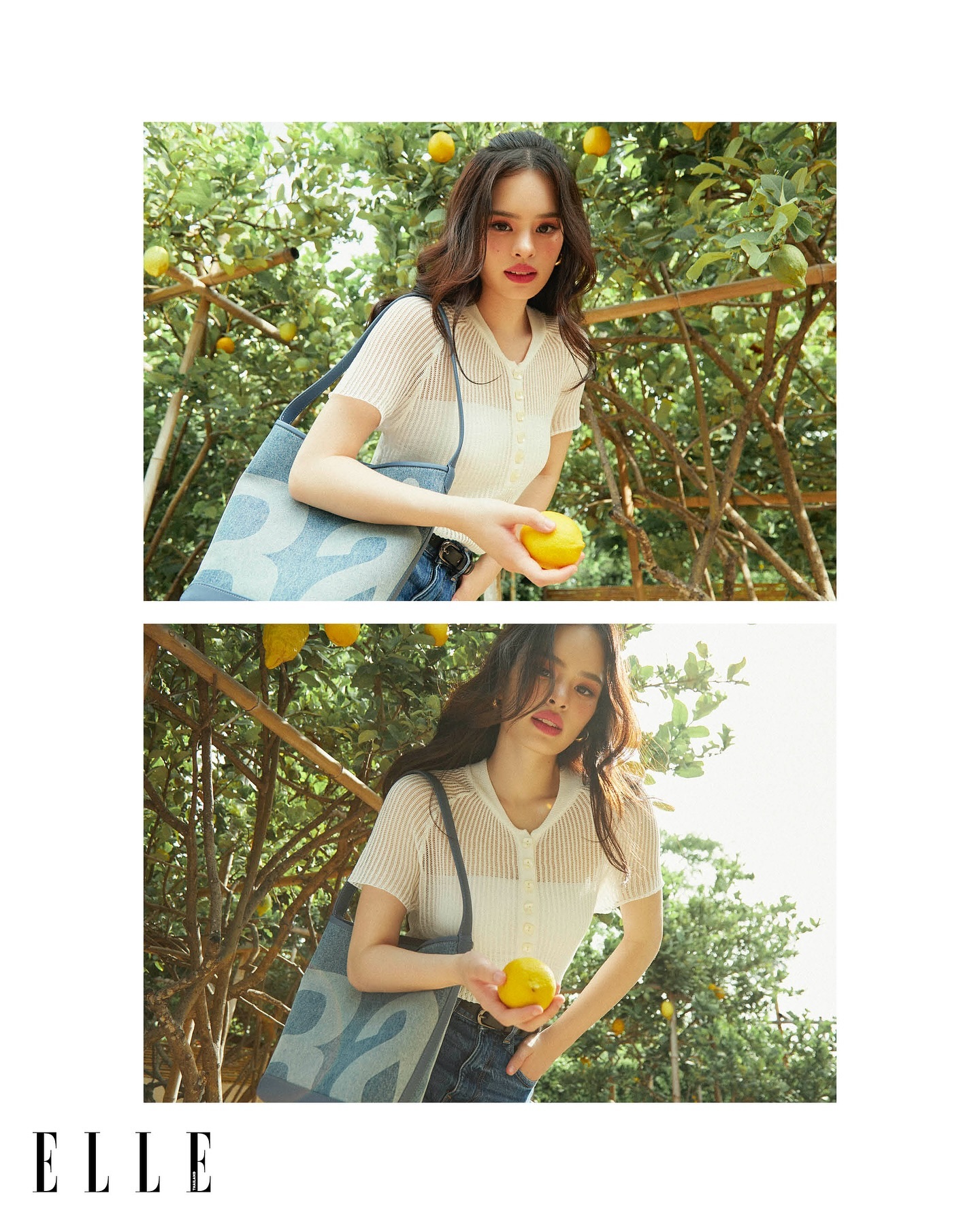 แอลลี่ - อชิรญา นิติพน