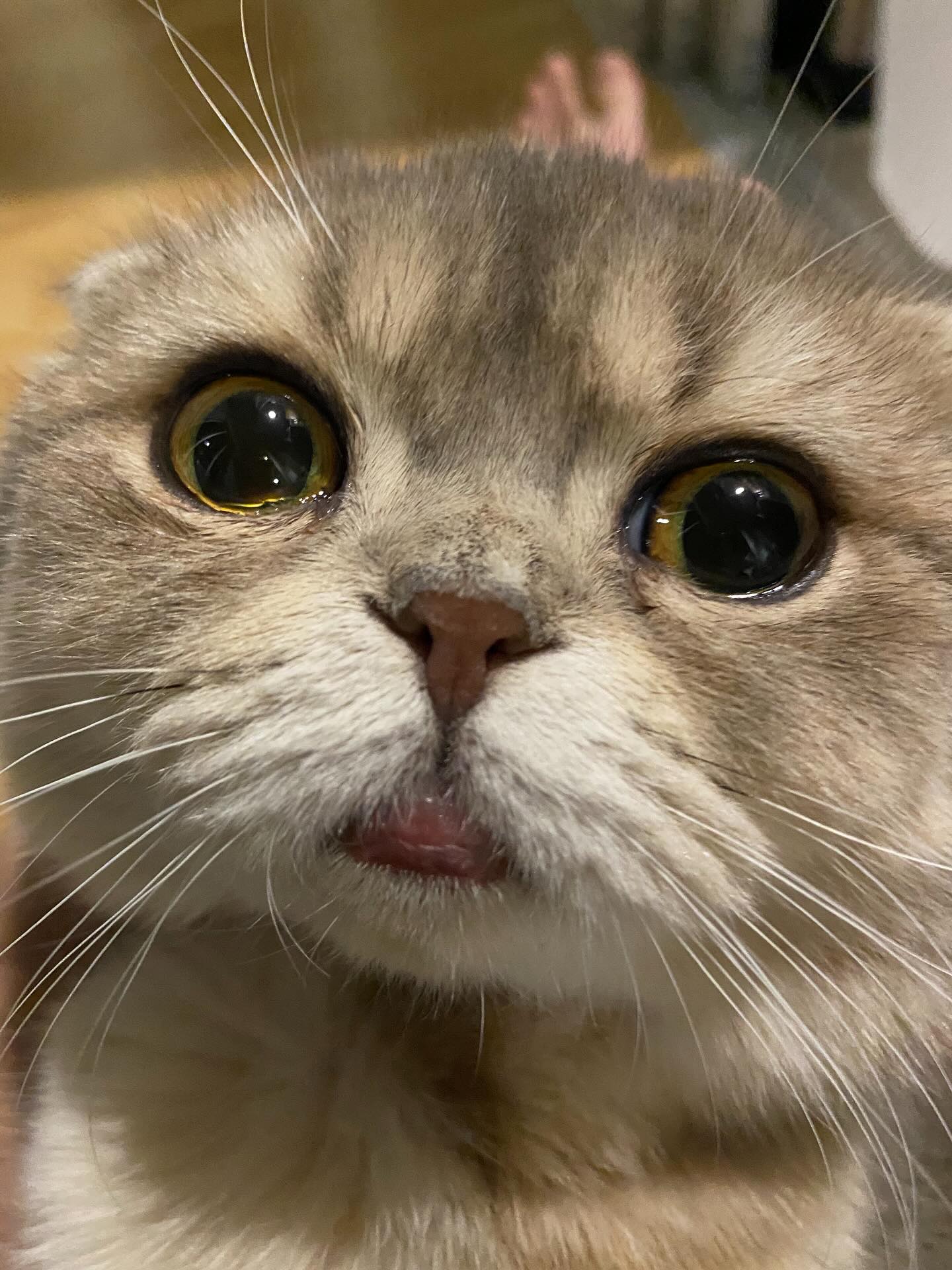 แบงค์ - ธิติ มหาโยธารักษ์