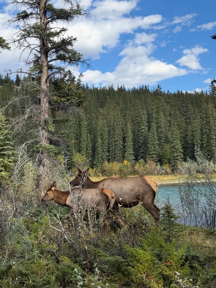 แบงค์ - ธิติ มหาโยธารักษ์