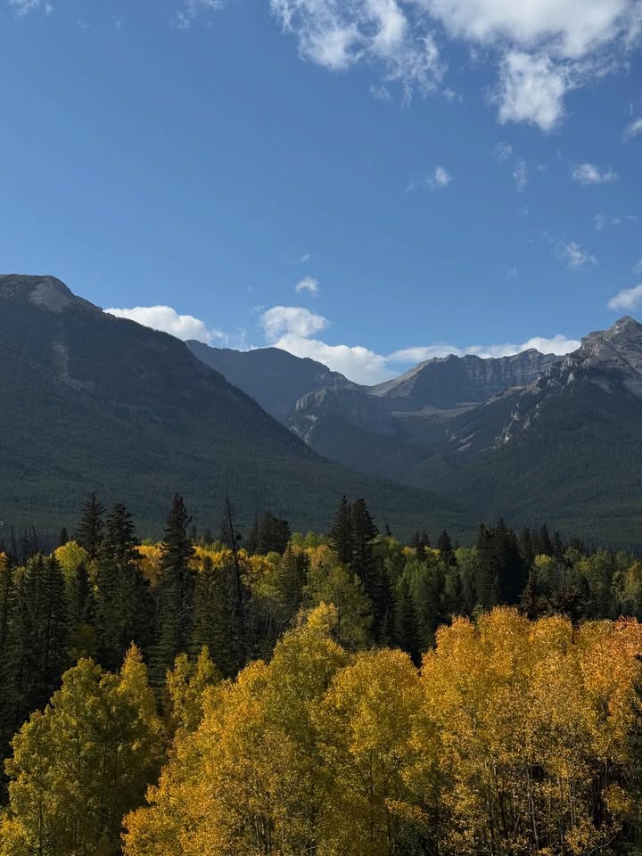 แบงค์ - ธิติ มหาโยธารักษ์