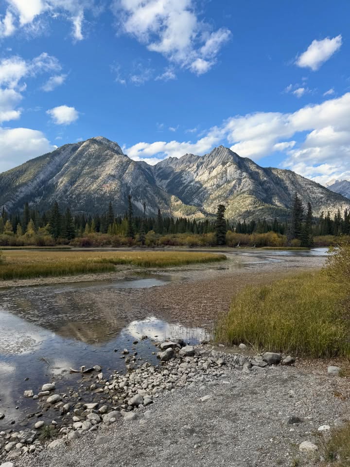 แบงค์ - ธิติ มหาโยธารักษ์