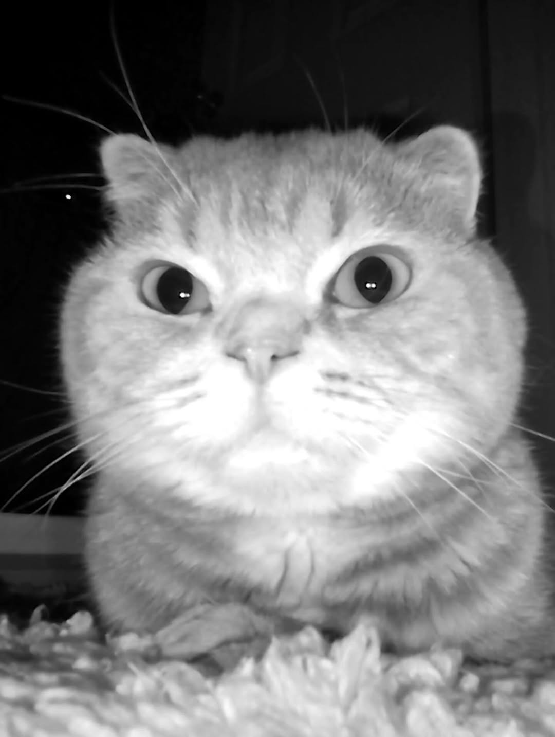 แบงค์ - ธิติ มหาโยธารักษ์