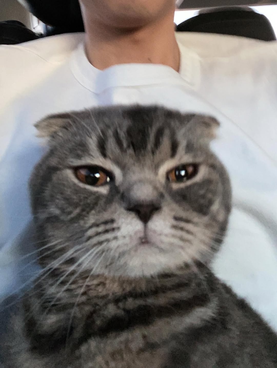 แบงค์ - ธิติ มหาโยธารักษ์