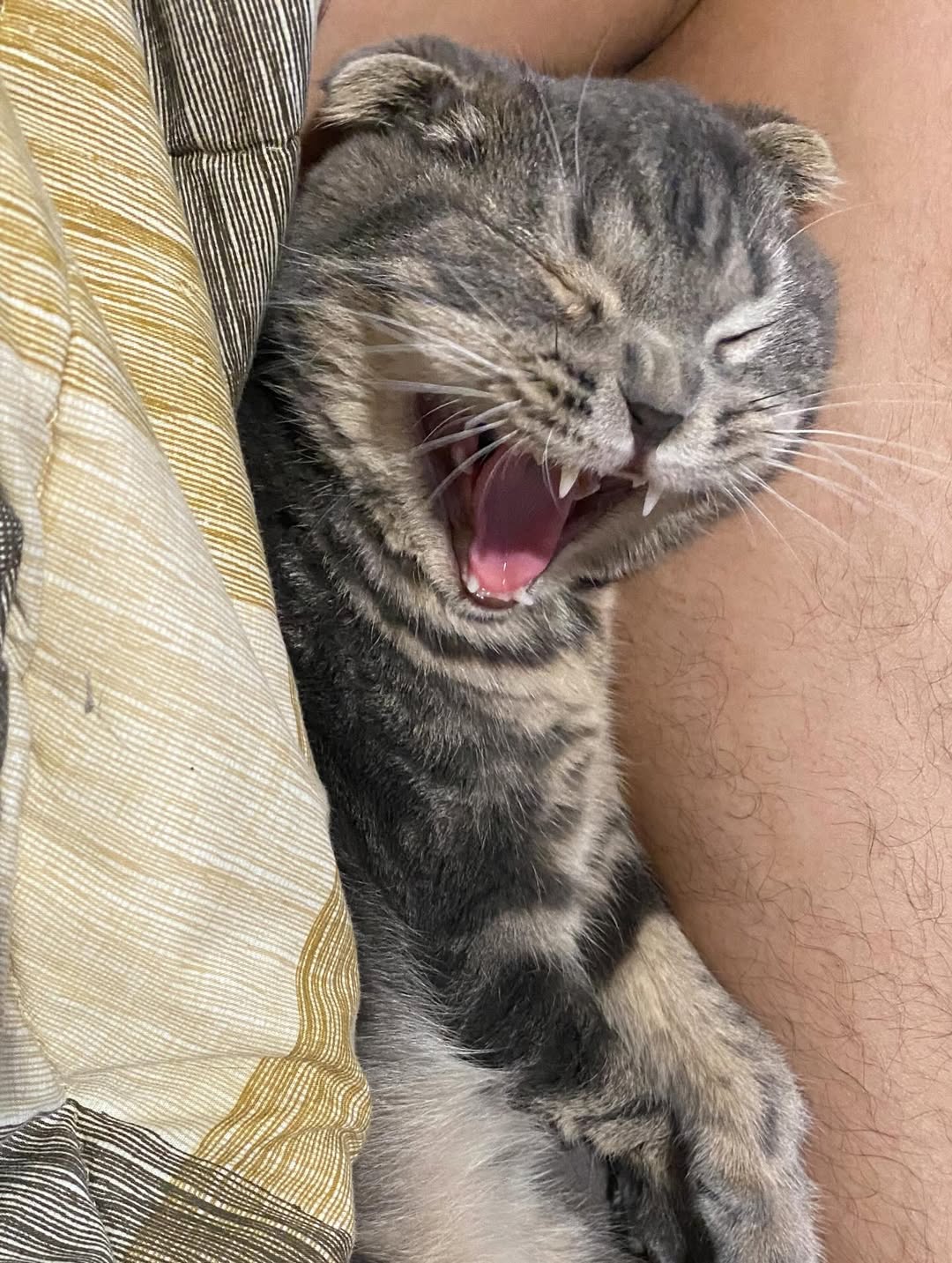 แบงค์ - ธิติ มหาโยธารักษ์