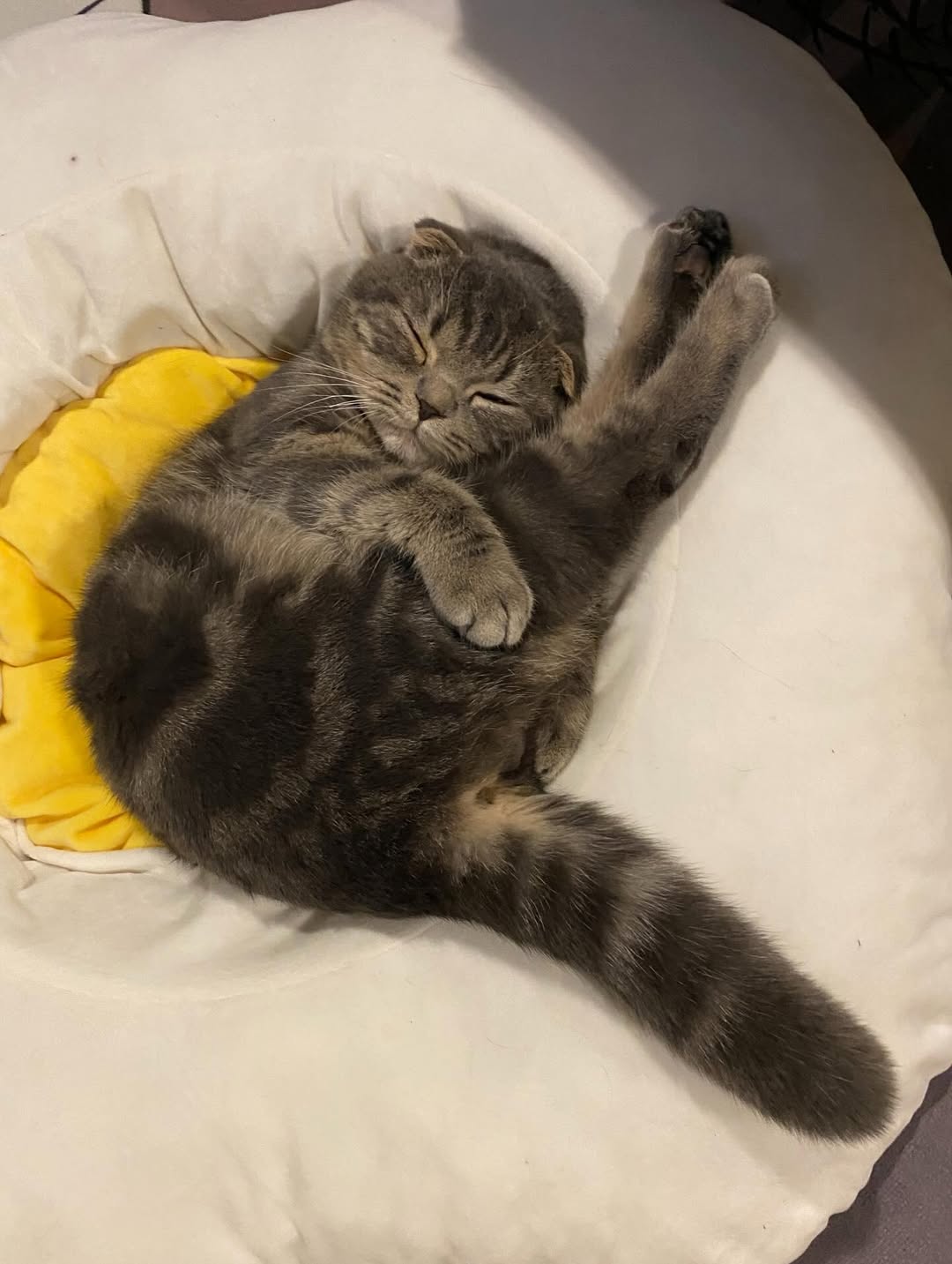 แบงค์ - ธิติ มหาโยธารักษ์