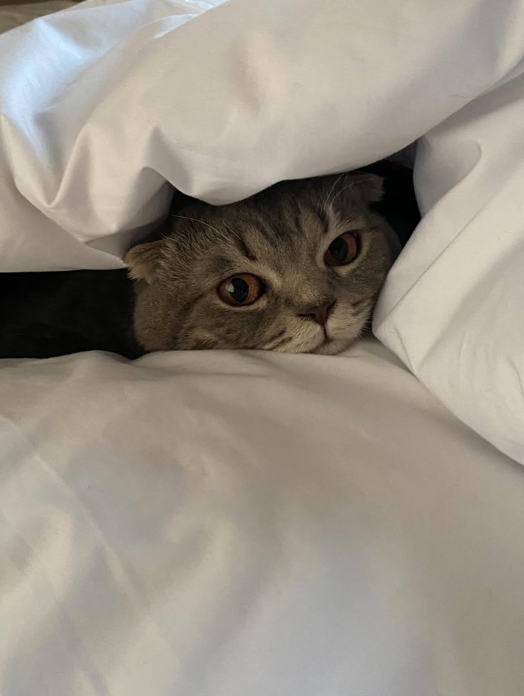 แบงค์ - ธิติ มหาโยธารักษ์